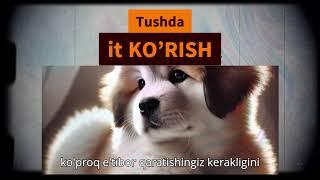 Tushda it KO’RISH HAQIDA - It tushda ko'rsa - Тушда Ит курса