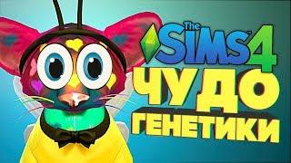 Чудо Генетики - Давно я так не смеялась! - The Sims 4 "Кошки и Собаки"