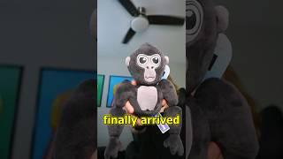 It’s finally here… #gorillatag