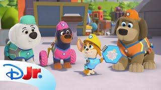 Pupstruction | Time to Build a Blueprint! | Compilation | @disneyjr