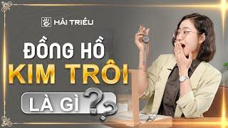 Đồng hồ Kim Trôi là gì? Vì sao máy Đồng Hồ Pin Kim Trôi rất được ưa chuộng?