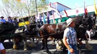 The Bennett Wagon On The Move - St Marys NSW Spring Festival 2013