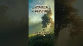 #elshaddai #drrukhsarahsan #elshaddaitv #jesus #holyspirit