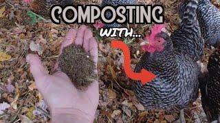 Chicken Composting System |Free Compost In 2 Weeks|