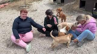 Amazing News About Honey's Family! - Takis Shelter