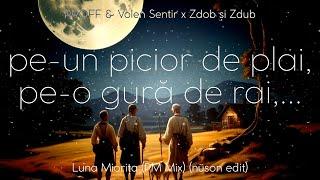 PROFF, Volen Sentir x Zdob si Zdub - Luna Miorita (PM Mix x nuson edit)