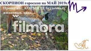 Скорпион гороскоп на май 2019 г.