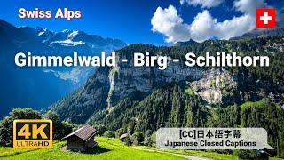 Swiss Alps | Walking Tour of Gimmelwald - Birg - Schilthorn in Jungfrau Region, Switzerland