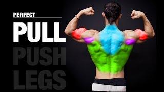 The PERFECT Pull Workout (PUSH | PULL | LEGS)