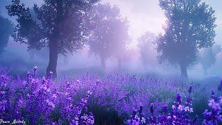 The most beautiful melody in the world! You can listen to this music forever! Great