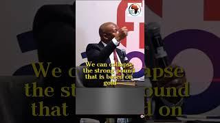 Why Europe Wants Africa Divided: Julius Malema (EFF President)