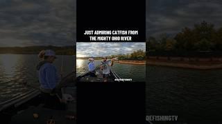 Just gotta take in the beauty and enjoy the river! #catfishing #ohioriverfishing #bluecatfish #fish