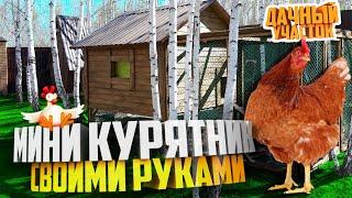 Куры несушки на даче | итоги, спустя 3 месяца | курятник своими руками