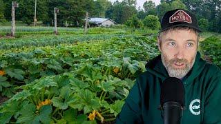 Is the Broadfork Bad for Soil + Growing Squash Without Pests