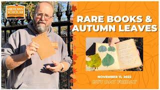 Books under the Mulberry Tree  Buy Day Friday  November 11, 2022
