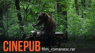 THE BEAR | Comedy Film | CINEPUB