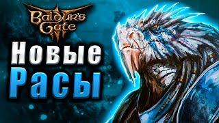 Новые Расы и Подрасы в Baldur's Gate 3