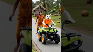 Indian WOMAN‍trails Cat #miawmiaw #miaw #explore #aicat #cat #catvideos #catnap #fypage
