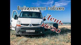 #VANLIFE Алтай-Сочи на самодельном автодоме / Бойцовские собаки