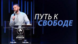 Путь к Свободе / Владимир Савчук