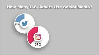 Social Media Infographic (Animation Example)