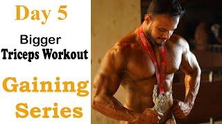 Day 5 Beginner Triceps Workout | Bangla Fitness Tips