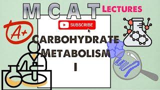 Biochemistry MCAT Chapter 8: Carbohydrate Metabolism I  (1/2)