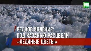 Под Казанью расцвели "ледяные цветы" | ТНВ