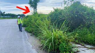 Shocked by What We Found Cleaning This Abandoned Sidewalk – You Have to See the Result