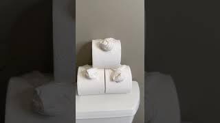 Elegant toilet paper fold  #rose #toiletpape #viralhack #randyandco