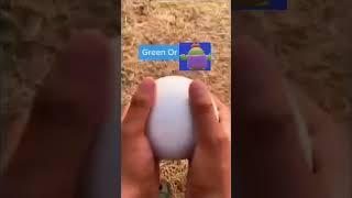 grenn or spike #oficial #memes #music #animation #brawlstars #spike #phføls