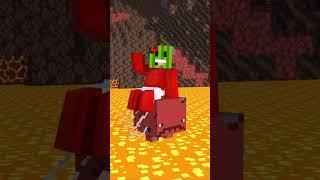 Sunny and Melon Travel to the Nether ￼with baby Wither
