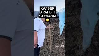 КАЛБЕК АКАНЫН АНГУСТАРЫ ОШ