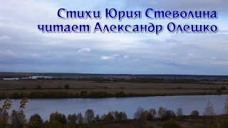 Как мне не хочется стареть - Александр Олешко читает стихи Юрия Стеволина 2023