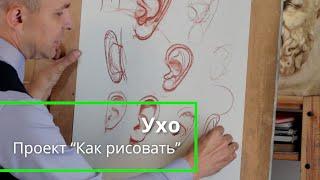 Как рисовать "Ухо" - А. Рыжкин