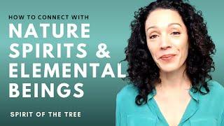 NATURE SPIRITS & ELEMENTAL BEINGS: Conversations with a Tree, Earth Wisdom & Future Memories (Pt 1)