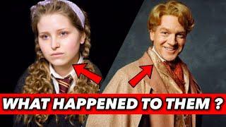 What Happened To Some Harry Potter Characters ? (Gilderoy Lockhart, Lavender Brown, The Dursleys ..)