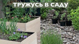 В ЛЮБИМОМ САДУ ВСЁ СВОИМИ РУКАМИ 🪏 ОБЗОР МОИХ ЦВЕТОВ И НЕ ТОЛЬКО 🪴ТРУЖУСЬ И ОТВЛЕКАЮСЬ 