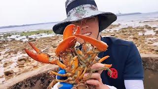 Whoaa! The king encountered a live flounder at low tide