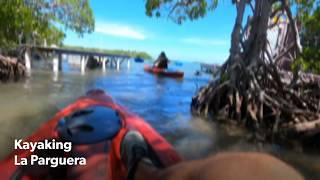 Kayaking La Parguera Lajas Puerto Rico