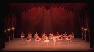 Royal Opera House Muscat Highlights from the Mariinsky Ballet