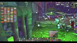 WoW Classic Era Naxxramas Raid -  Resto Druid PoV - January 21, 2025