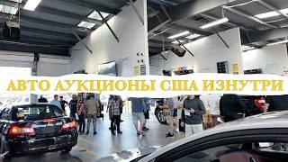 Автомобильные аукционы США изнутри! Как мы покупаем автомобили для Вас #автодилер #автосша