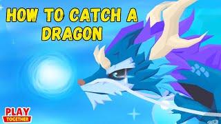 How to Catch a Dragon (Play Together Game)