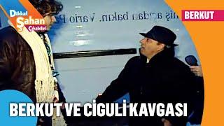 Berkut ve Ciguli kavga ediyor! - Dikkat Şahan Çıkabilir