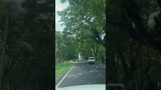 Lataguri to chalsa road#siliguri #lataguri #tranding #everyone #travel