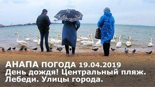 #АНАПА. Погода 19.04.2019. День дождя! Центральный пляж. Лебеди. Улицы города.