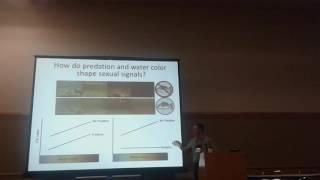 Giery: Evolutionary ecology of sexual communication in Bahamian mosquitofish