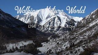 Welcome to our Hiking and Backpacking channel - Walking Nature World!