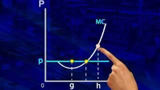 Perfect competition:  Point of profit maximisation